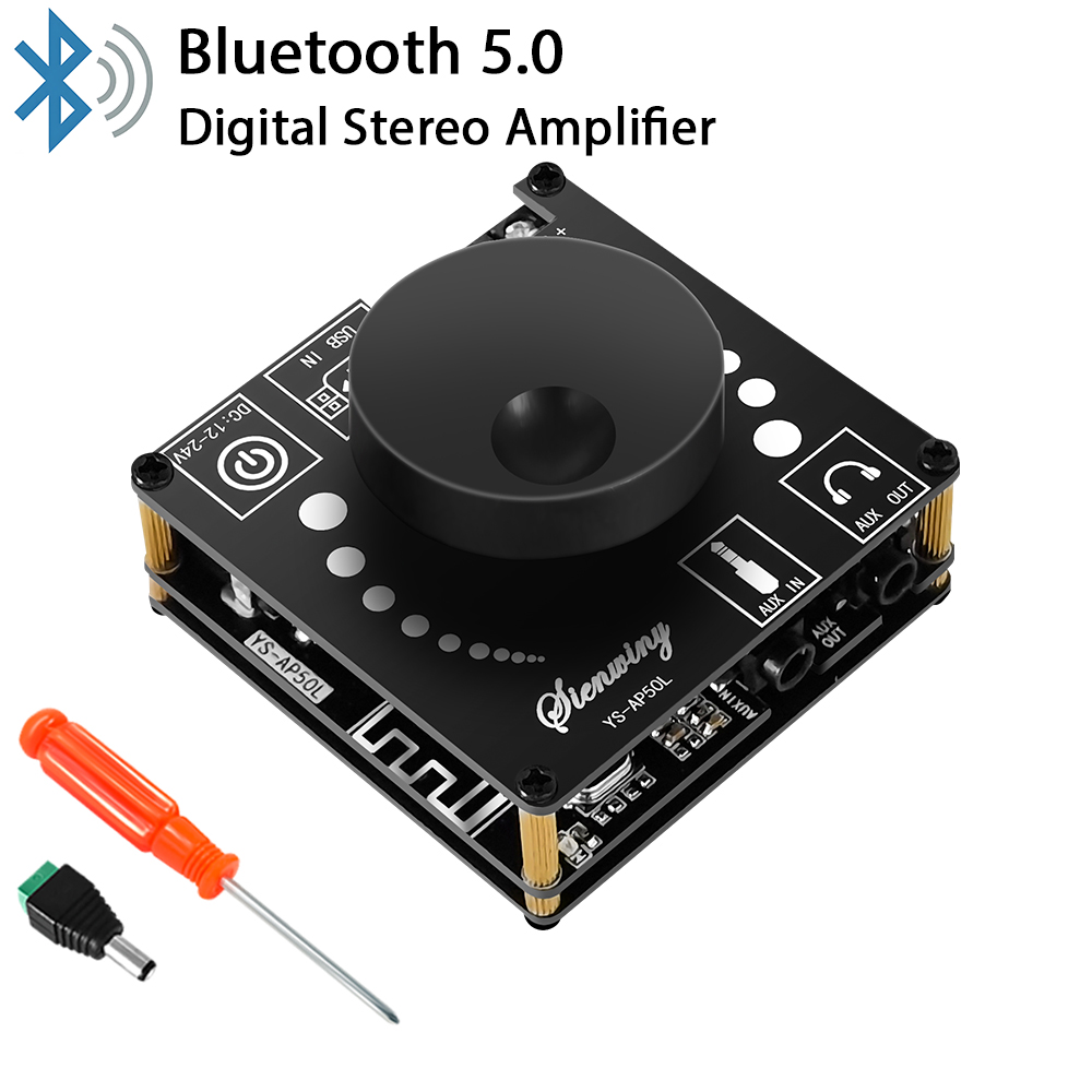 Diy Audio Electronics Kit - DIY Audio Modificatie Module 50W *